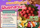 เตรียมตัวฟิน! งานผลไม้บุฟเฟต์ “ฟินยกสวน” กำลังจะเริ่มแล้ววว!!  23 – 25 พ.ค.นี้