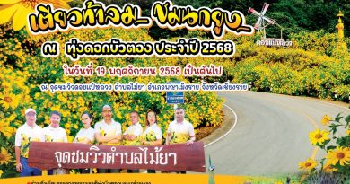 19 พ.ย.นี้ ขอเชิญร่วม “ กิจกรรมเตียวท้าลม ชมนกยูง ณ ทุ่งดอกบัวตอง ” @ดอยแป๋หลวง ประจำปี 2568