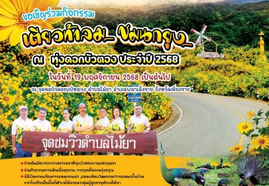 19 พ.ย.นี้ ขอเชิญร่วม “ กิจกรรมเตียวท้าลม ชมนกยูง ณ ทุ่งดอกบัวตอง ” @ดอยแป๋หลวง ประจำปี 2568