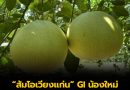 “ส้มโอเวียงแก่น” GI น้องใหม่ ดัน “เชียงราย” ขึ้นแท่นอันดับ 2 จังหวัดที่มี GI มากที่สุดในไทย