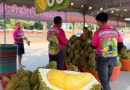 ทุเรียนลูกละ 1 บาท มีอยู่จริง! เตรียมตัว! “เจ๊ดา ผลไม้ซิ่ง” มาตามนัด! เจ้าดังจากอยุธยา บุกเชียงราย 12-17 พ.ค.นี้