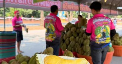 ทุเรียนลูกละ 1 บาท มีอยู่จริง! เตรียมตัว! “เจ๊ดา ผลไม้ซิ่ง” มาตามนัด! เจ้าดังจากอยุธยา บุกเชียงราย 12-17 พ.ค.นี้