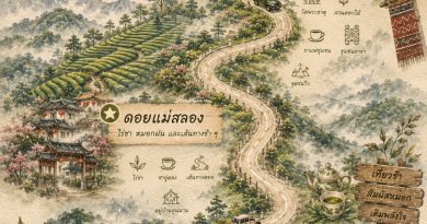 ชวนขึ้นดอยไปสัมผัส “หมอกฝน” ที่ เชียงราย : Chiang Rai Rainy Retreat | The Mist Moment