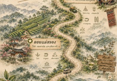 ชวนขึ้นดอยไปสัมผัส “หมอกฝน” ที่ เชียงราย : Chiang Rai Rainy Retreat | The Mist Moment